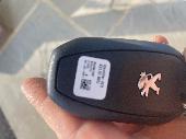 Peugeot car thob and house keys lost in Horsham in H&M or the shopping centre