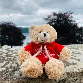My daughter lost a soldiers charity bear about 6” with a red hoody on ????