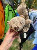 Very worn and loved teddy bear, daughter devastated. Possibly lost in pembury Te