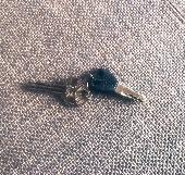 A set of keys found this morning (Tues 3 August 2021) in Laurier Rd, NW5.