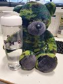 Green camouflage bear found at Lincoln station - https://twitter.com/EastMidRail