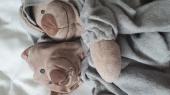 While leaving the Tonquin Inn in Jasper I lost my two teddy's I've had for my wh