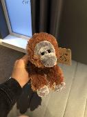 Hi I’ve lost my chester zoo small orange orangutan ???? called chester. I think