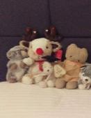 Car was broken into and bags were stolen along with 2 cuddly toys, a very old te