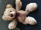 I found him in a bin, just not sure if thrown out by owner or someone who found 