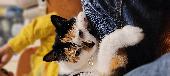 Our house cat escaped on Saturday and has not been seen. She is a black white an