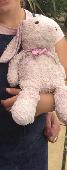 My daughter lost her pink well loved bunny very sad and can’t find it. 