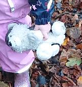 Lost husky toy dog at or near Exeter Holiday inn express