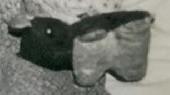 He was very basic; very short brown fur covering head and back, very short white