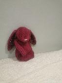 My little girl lost this bunny but in light pink. She is very attached to it so