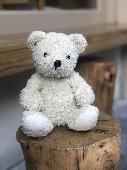 Our beloved family polar bear, Baibai, has been lost for two weeks. She was last