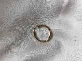 A vintage gold hoop earring