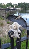 A well loved looking little sheep waiting to go back home. In the meantime they'