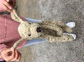 Found a stuffed dog on the beach! 