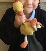 Has anyone seen this jellycat ‘chicken’ / duck! We dropped him somewhere between