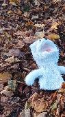 My son seems to have lost his friend, a white bear puppet (looks more like a dog