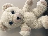 Found this Snuggle bear. Fluffed him up in the wash and fixed his nose! Hoping t