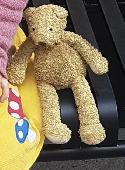 Please can you help find Tumble Ted? Tumble Ted is my niece's best friend and wa