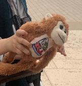 Gibraltar monkey was lost either at London Bridge Station or on the train to Wes