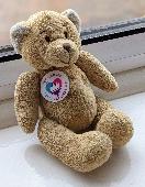 Small and very special teddy bear lost on The Shambles in York. We are very keen