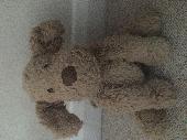 She is a medium size beige jellycat fuddlewuddle dog and means the world to me a