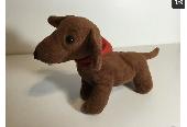 I lost my Teddy dog, it had been my companion for 10 years, I loved it, I may ha