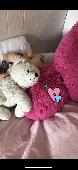I lost my teddy bear at The Liberty hotel in Boston, Massachusetts. I miss my te