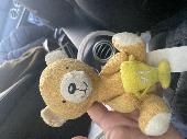 I know this is a long shot, but my son has lost his favourite teddy and is so up