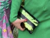 I lost a Prada pouch- paillette glitter black and green - it had huge sentimenta