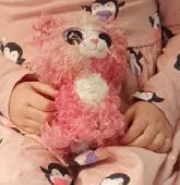 Lost pink cat on 20th November between 10:30am and 11:00am in ikea sofa departme