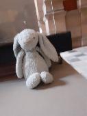 This well loved wee bunny was found in the Museum and now waiting to go home for