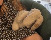 ***Please Share*** This is Sprinkle, Sofia’s beloved teddy. Sprinkles fancied go