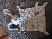 My son has lost his toy rabbit and his heartbroken. He last had it in Aldi super