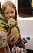 Lost a much much loved and treasured monkey. Perhaps left on a train or fell out