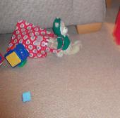 Beloved toy alpaca in green hooded jumper. Believed to be left in our hotel room