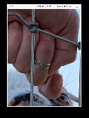Hi, I lost a small toe ring with circle patterns in it, on or around Liverpool s