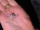 Large pearl earring with silver setting.