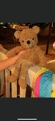 A tan/light brown teddy with furless white legs and match fur feet. lost during
