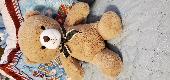 Cute tan Teddy Bear with green and beige bow. Brien nose, smile and eyes. Extrem