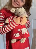 We lost my daughter’s absolute favorite lifetime stuffed animal in Boston Logan