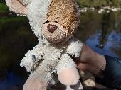 We think we left my daughter's favourite teddy at Crieff Hydro in Studio number