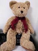Teddy bear found in radiology outpatients department toilet.