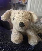 Scruffy looking dog about 6” long. Means a lot to my son and would be so gratefu