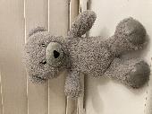 Teddy bear found on the Marks Farm estate in Braintree.