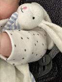 Hello there, I lost my daughter’s bunny from JoMaman. 