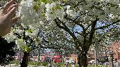 We went to Hammersmith and boarded bus 218 from Hammersmith bus station towards 