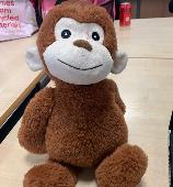 Please help , Hello I was wondering if any one has found a soft toy monkey, Lost