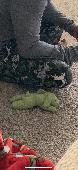 Small green dog stuffed animal with a missing eye. Last seen at Target on Rivers