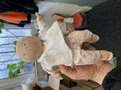 Handed in from a customer who found this cuddly toy on a train last night (11th 