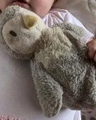 Hello, lost a much loved grey penguin teddy today in Primrose Hill. London. Daug